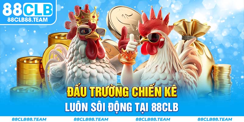 Đấu trường chiến kê luôn sôi động tại 88CLB